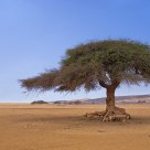 Les Terres de l'Adrar 07